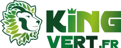 Logo KingVert