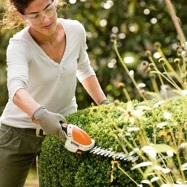 Tondeuses à gazon STIHL