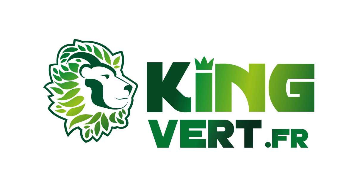 Preview image published by kingvert.fr