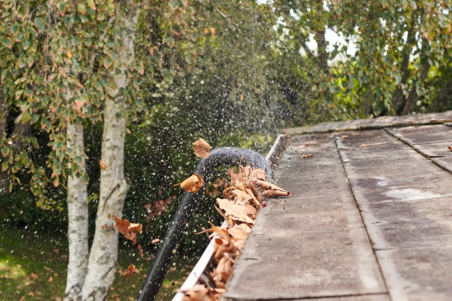 Un souffleur élimine les feuilles de la gouttière avec puissance et efficacité.