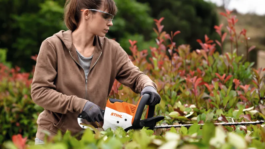 Quel taille-haie STIHL pour votre jardin ?