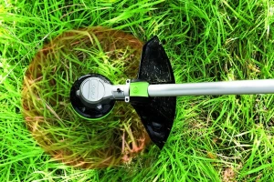 38 CM DE LARGEUR