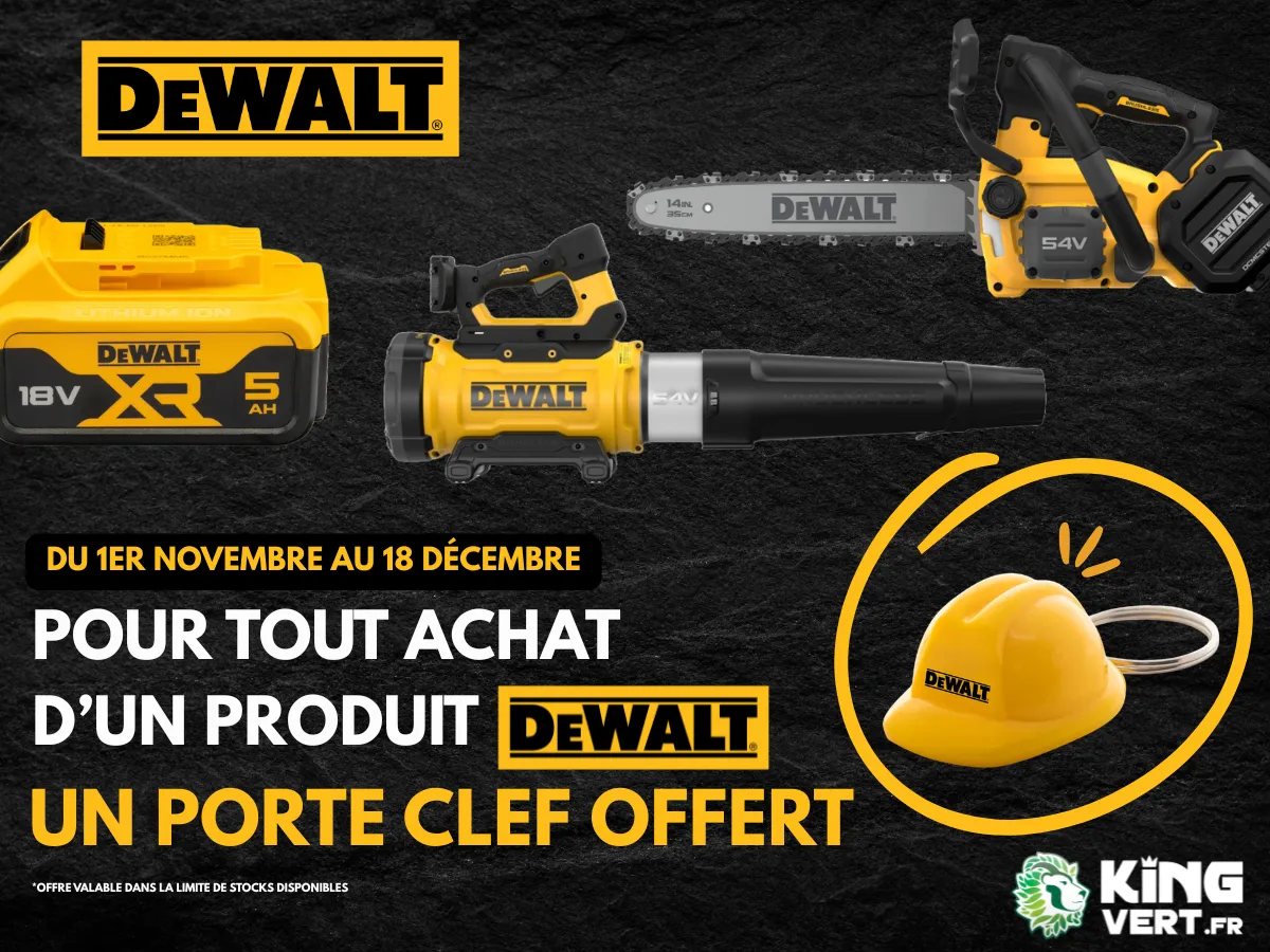 Porte-clés DEWALT offert