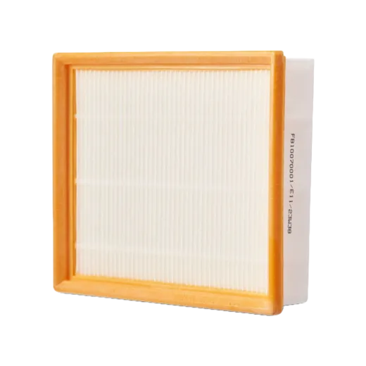 Filtre pour aspirateur EGO AVF0900