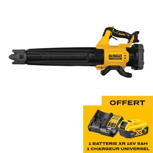 Souffleur à batterie DEWALT DCMBL562 - Starter pack offert