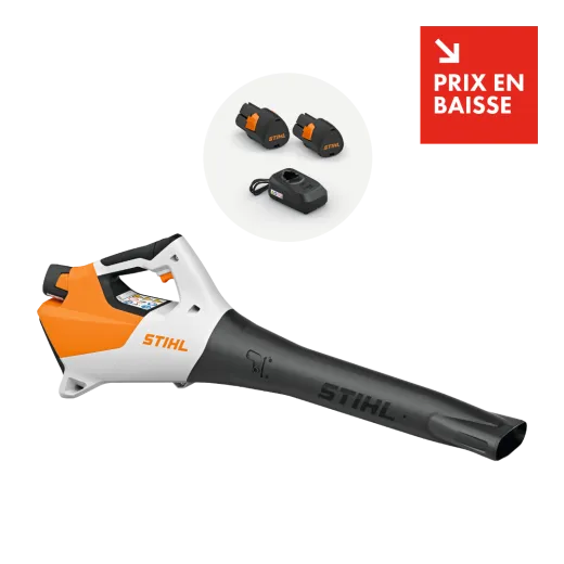 Souffleur à batterie STIHL BGA 30 pack 2 batteries