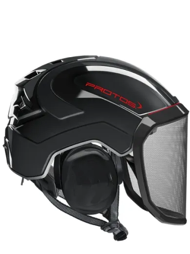 Casque Protos® Integral Arborist (Noir)