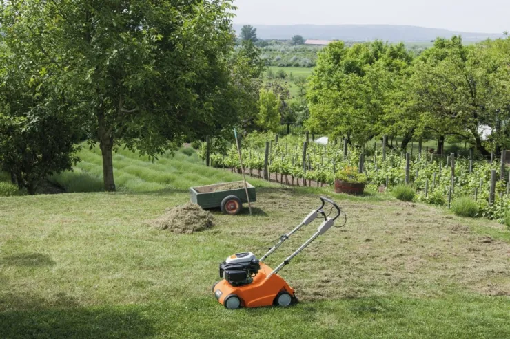 Scarificateur thermique STIHL RL 540 — 5