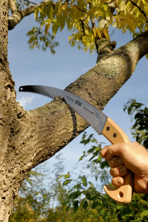 Scie arboricole BAHCO 4212-11-6T — 6