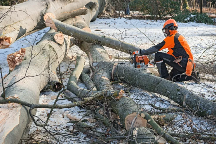 Tronçonneuse thermique STIHL MS 661 C-M — 4