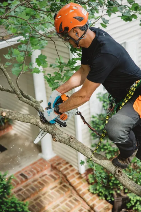 Élagueuse thermique STIHL MS 151 TC-E — 3