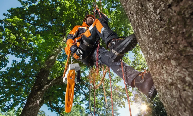 Veste STIHL ADVANCE X-TREEm — 3