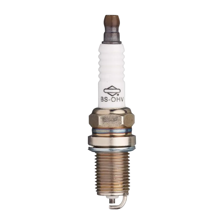 Kit maintenance moteur BRIGGS & STRATTON 992244 — 4