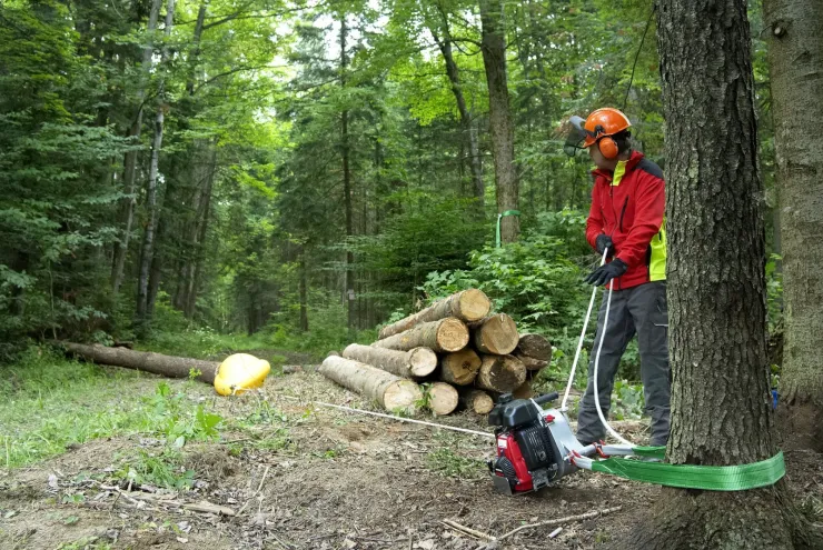 Cône de débusquage PORTABLE WINCH — 4