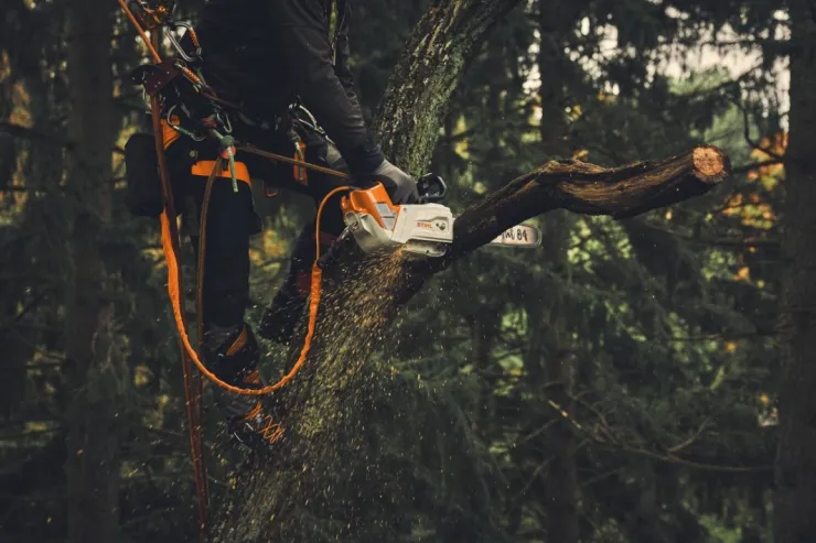 Longe élagage AP 2-en-1 STIHL — 4