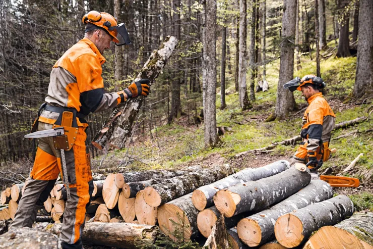 Casque STIHL DYNAMIC Ergo — 4