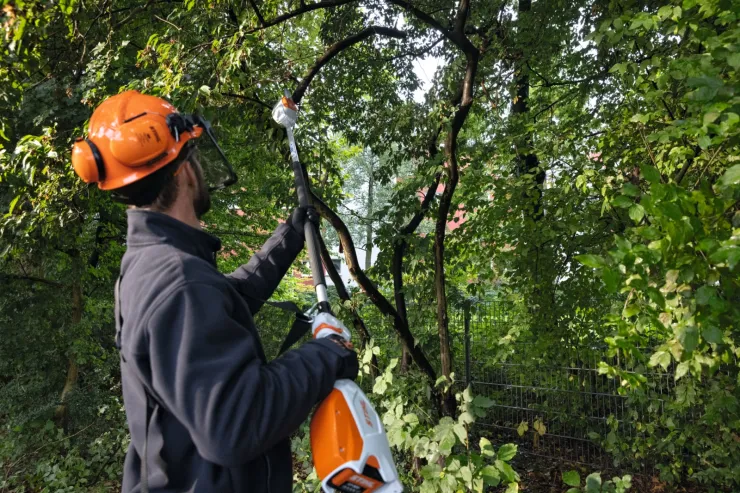 Perche d'élagage à batterie STIHL HTA 66 — 5