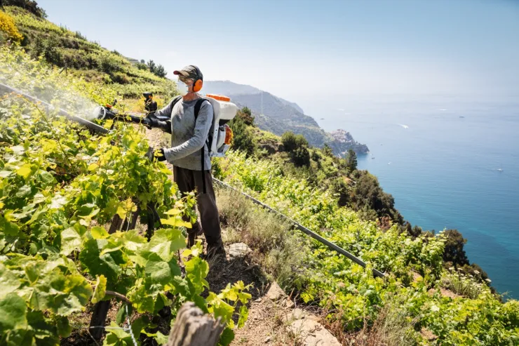 Atomiseur STIHL SR 200 — 3