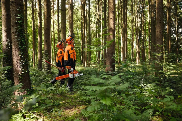 Hache à refendre STIHL AX 28 CS — 2