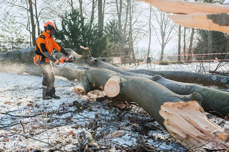 Tronçonneuse thermique STIHL MS 661 C-M — 3
