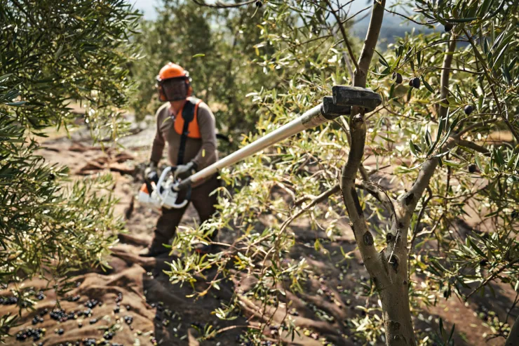 Secoueur d'olives thermique STIHL SP 482 — 6