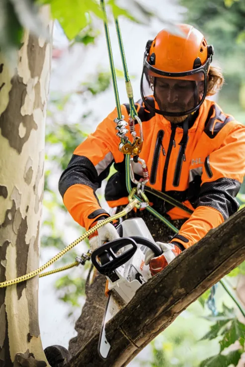 Élagueuse à batterie STIHL MSA 161 T — 3