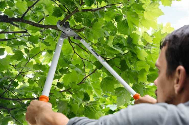 Ebrancheur Bypass STIHL PB 30 — 2