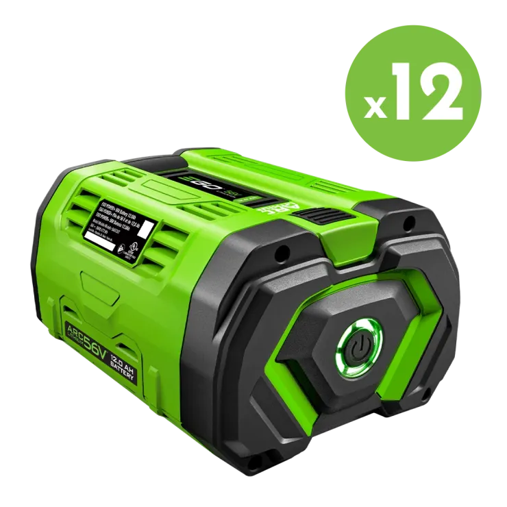 Pack 12 batteries EGO POWER+ PACK-12-BA6720T — 1
