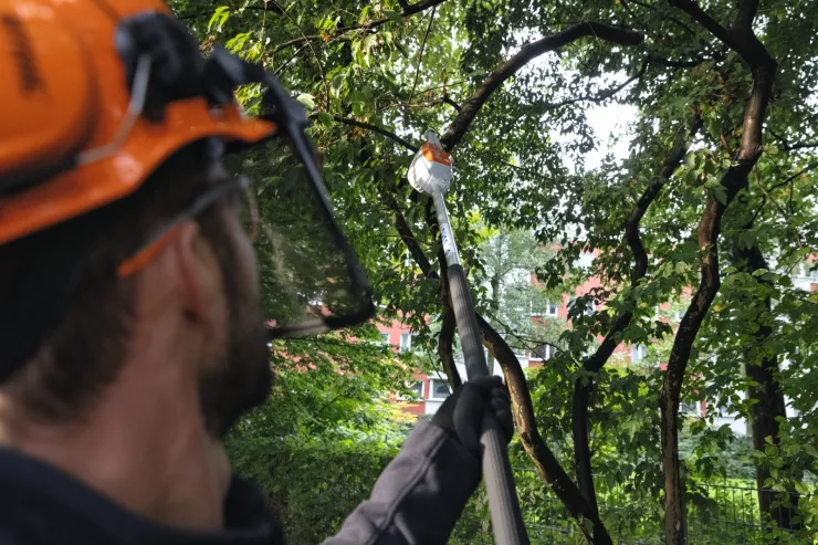 Perche d'élagage à batterie STIHL HTA 66 — 4
