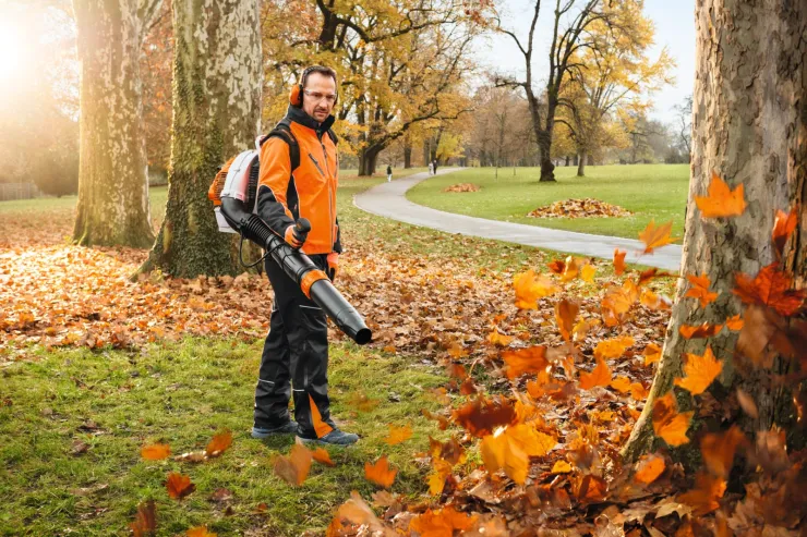 Souffleur à dos thermique STIHL BR 450 C-EF — 2