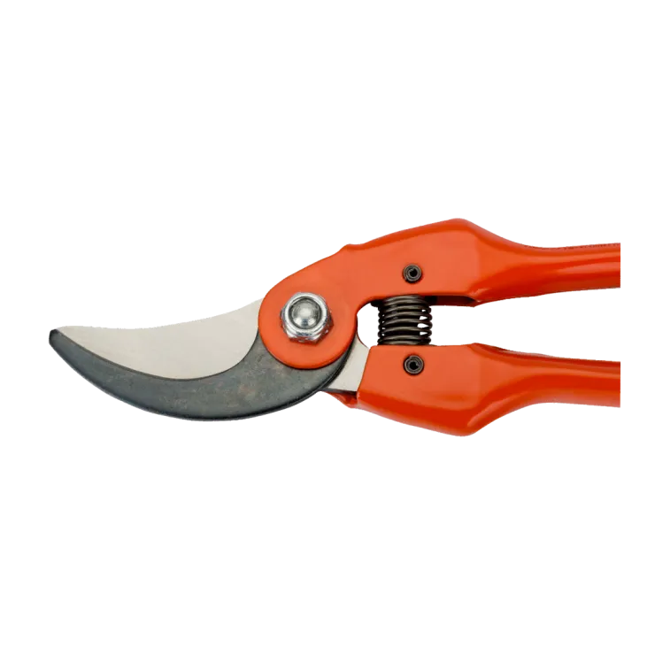 Sécateur BAHCO P126-19-F — 6