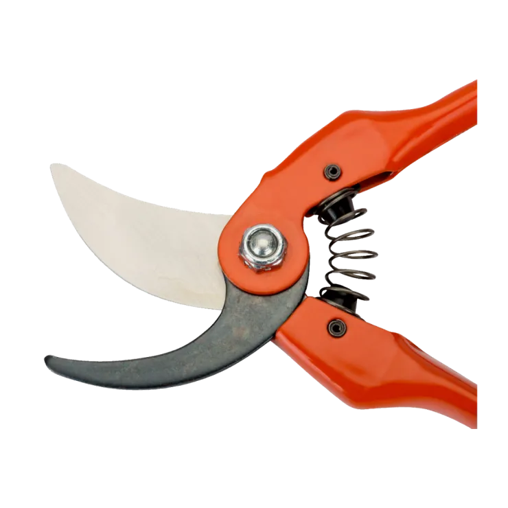 Sécateur BAHCO P126-19-F — 5