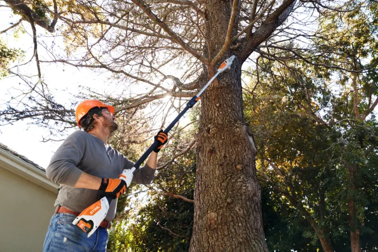 Perche d'élagage à batterie STIHL HTA 50 — 2