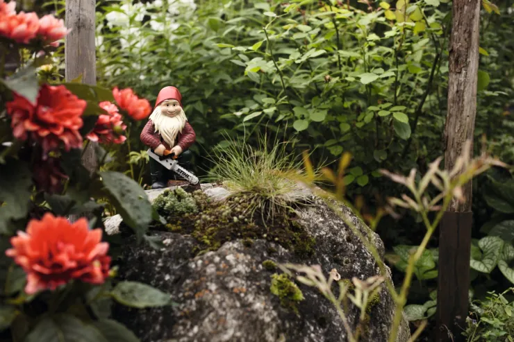 Nain de jardin STIHL — 5