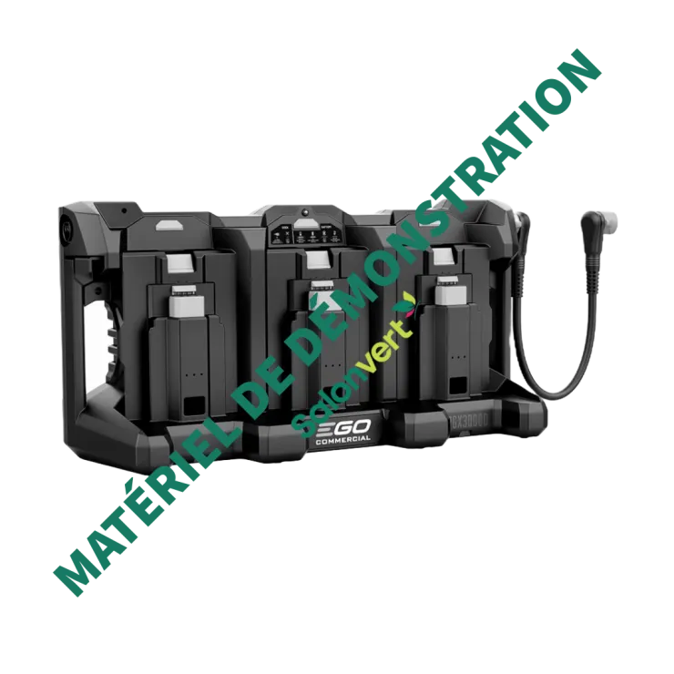 Station de charge 3 ports EGO POWER+ PGX3000D - Démonstration — 1