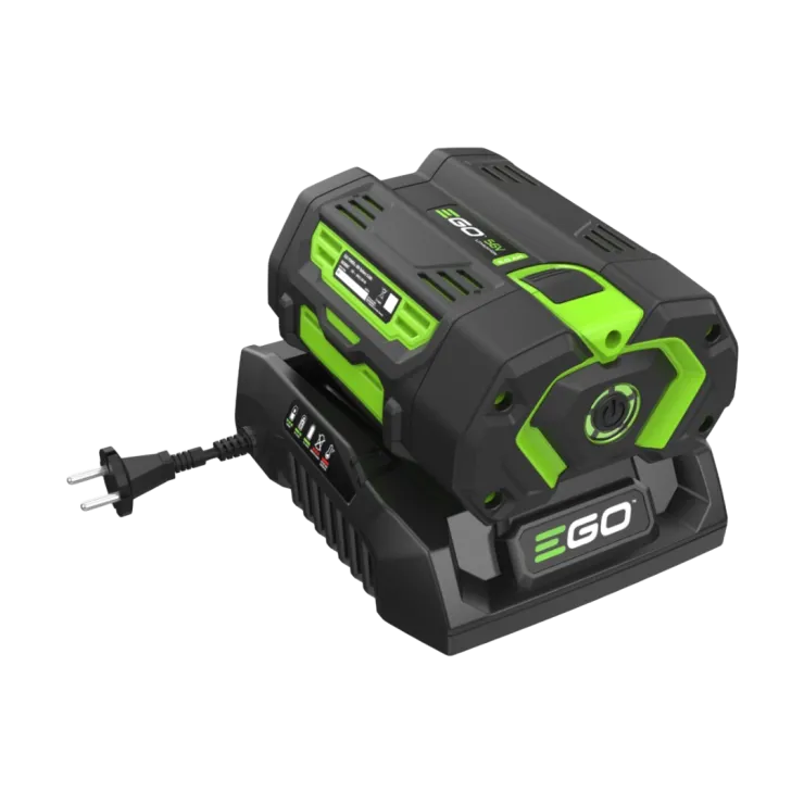 Chargeur rapide EGO POWER+ CH3200E — 4