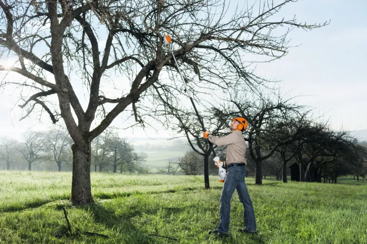 Perche d'élagage thermique STIHL HT 56 C-E — 4