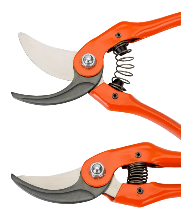 Sécateur BAHCO P121-23-F — 5