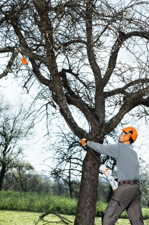 Perche d'élagage thermique STIHL HT 56 C-E — 6