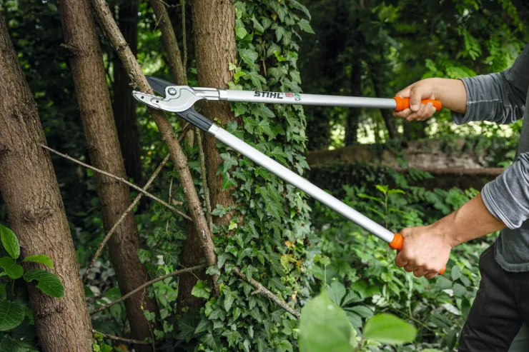 Ebrancheur enclume STIHL PB 25 — 2