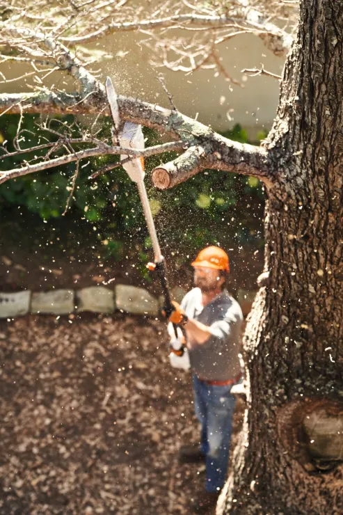 Perche d'élagage à batterie STIHL HTA 50 — 6