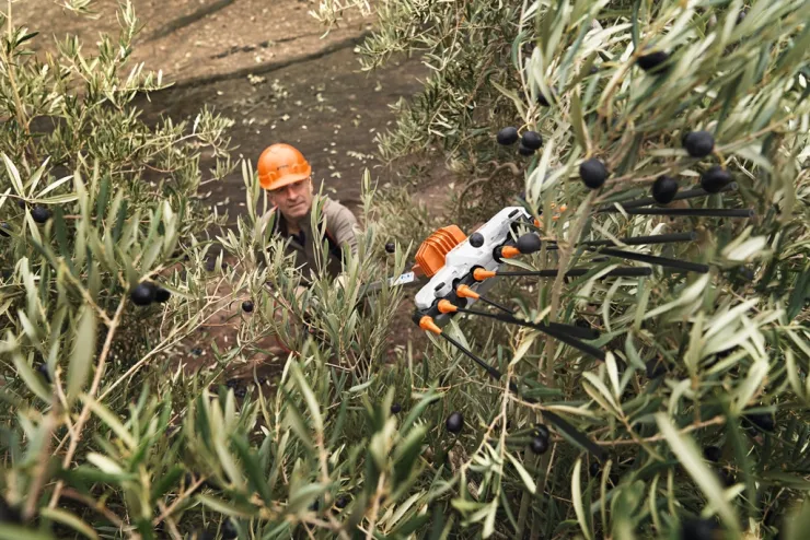 Secoueur d'olives à batterie STIHL SPA 140 — 3