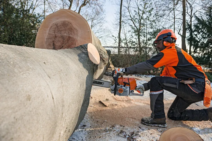 Tronçonneuse thermique STIHL MS 661 C-M — 5
