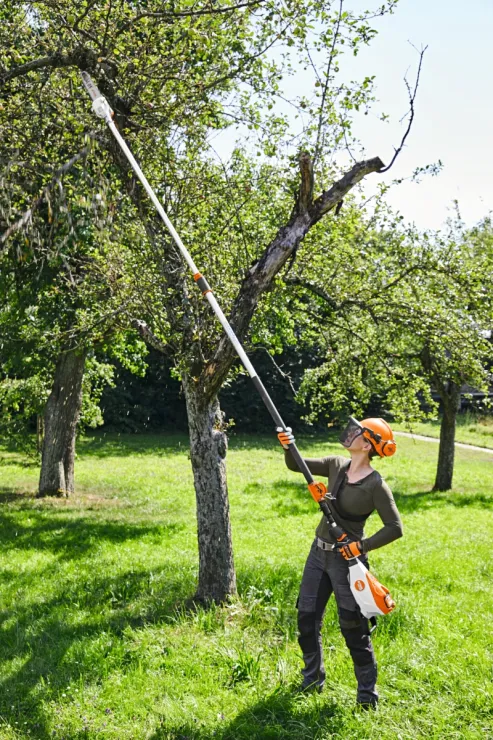 Perche d'élagage à batterie STIHL HTA 135 — 5
