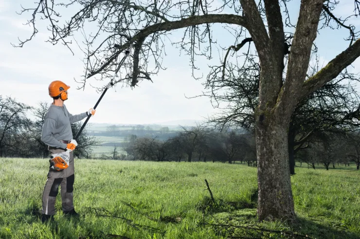 Perche d'élagage thermique STIHL HT 56 C-E — 5