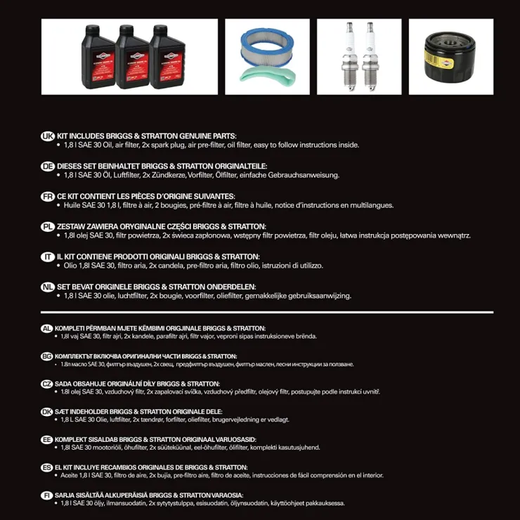 Kit maintenance moteur BRIGGS & STRATTON 992240 — 2