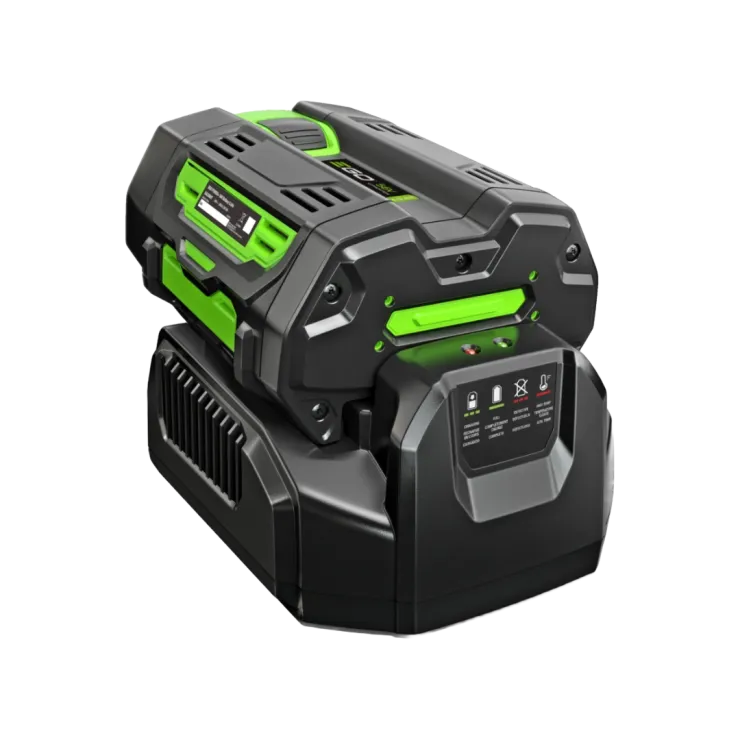 Chargeur standard EGO POWER+ CH2100E — 5