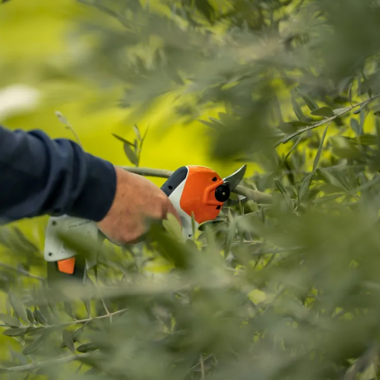 Sécateur à batterie STIHL ASA 20 — 4