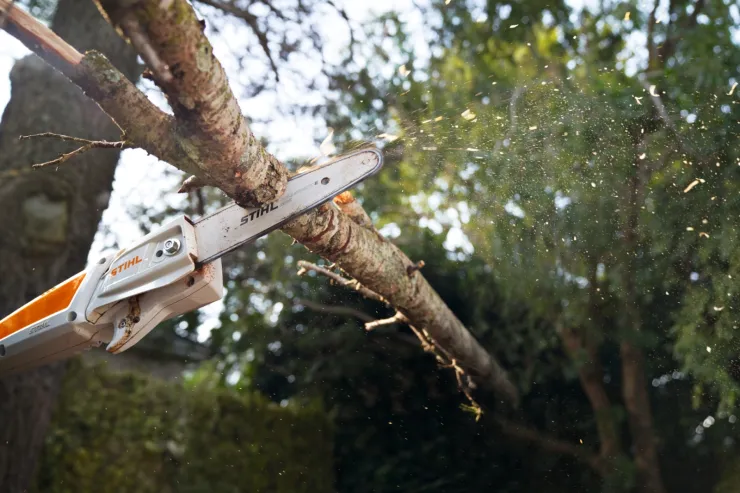 Perche d'élagage à batterie STIHL HTA 50 — 4