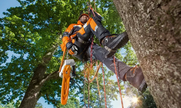 Pantalon anti-coupure STIHL ADVANCE X-TREEm - Classe 1 - Type A — 2